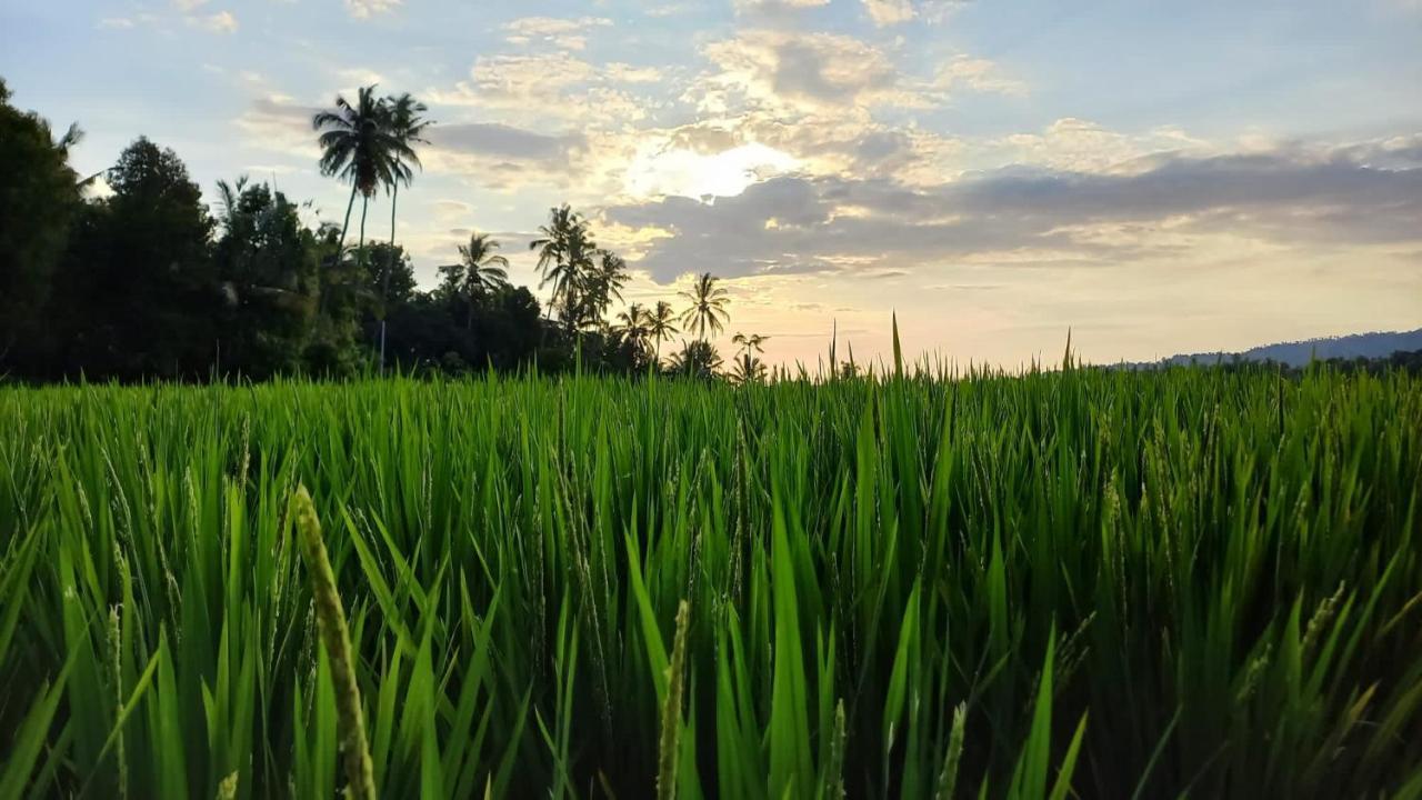 Bali De Pardis Cottage Munduk  Exterior photo