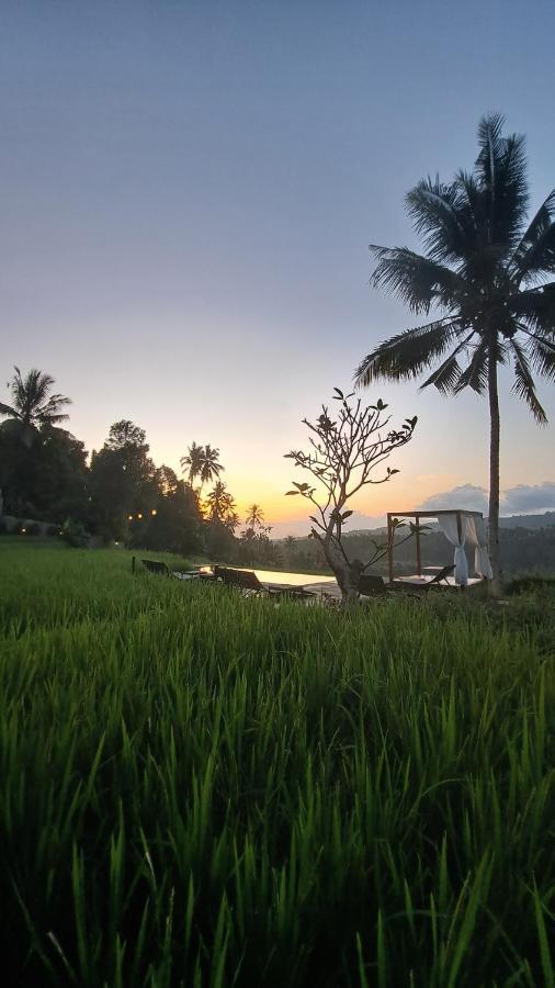 Bali De Pardis Cottage Munduk  Exterior photo