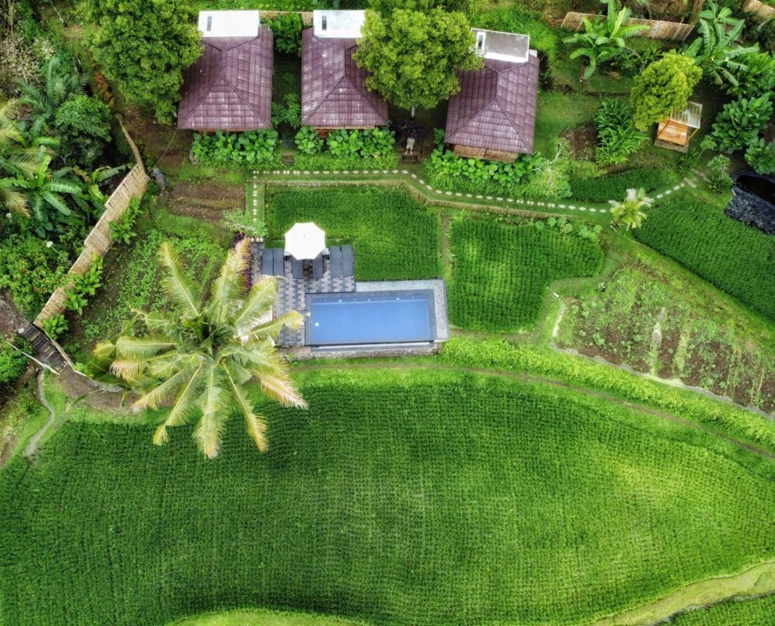 Bali De Pardis Cottage Munduk  Exterior photo